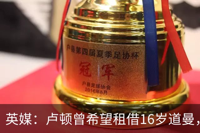 英媒：卢顿曾希望租借16岁道曼，威尔希尔在阿森纳U18执教过他